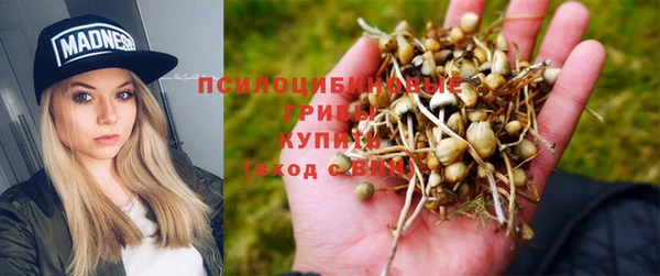 амф Богданович