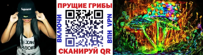 сайты даркнета какой сайт  Волжский  Псилоцибиновые грибы прущие грибы  где найти наркотики 